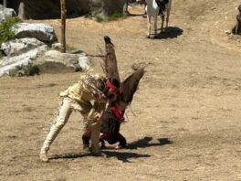 Es geht los! Karl-May-Spiele starten in die neue Saison mit "Halbblut"