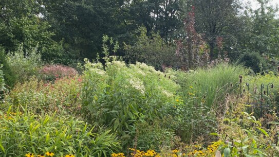 Offener Garten im Herbstlicht