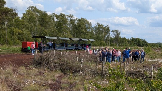 Tuckern, Bratwurst und Natur – Naturgenussfahrten bei der Torfbahn im Himmelmoor