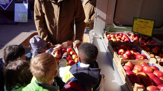 Kindergartenkinder entdecken den Wochenmarkt
