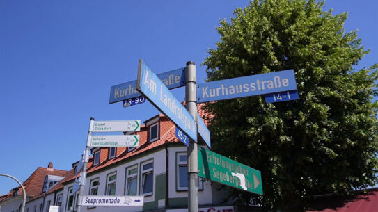 Bäume in der Kurhausstraße - Das ist der Stand der Planungen!