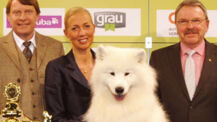 Internationale Rassehundeausstellung am 30. und 31. Mai