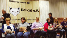 Alles für die Katz am 2. Februar