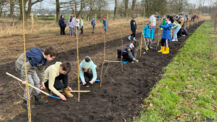 Viertklässler der Grundschule am Lakweg verpflanzen „ihre“ Bäume