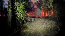 Brand im Henstedter Moor - Feuerwehr im Großeinsatz