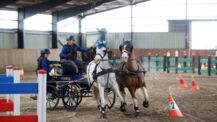 Spannender Fahrsport beim Nordpferd Fahrercup in den Holstenhallen Neumünster