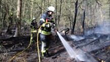 Flammen bis zu fünf Meter hoch: Großeinsatz bei Wald- und Moorbrand am Wildpark Eekholt