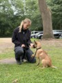 Nachwuchs in der Diensthundestaffel der PD Neumünster