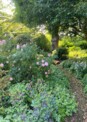 Offener Garten in Schleswig-Holstein - auch Norderstedt ist mit dabei