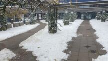 Sichere Wege bei Schnee und Eis - Dank an Bürger
