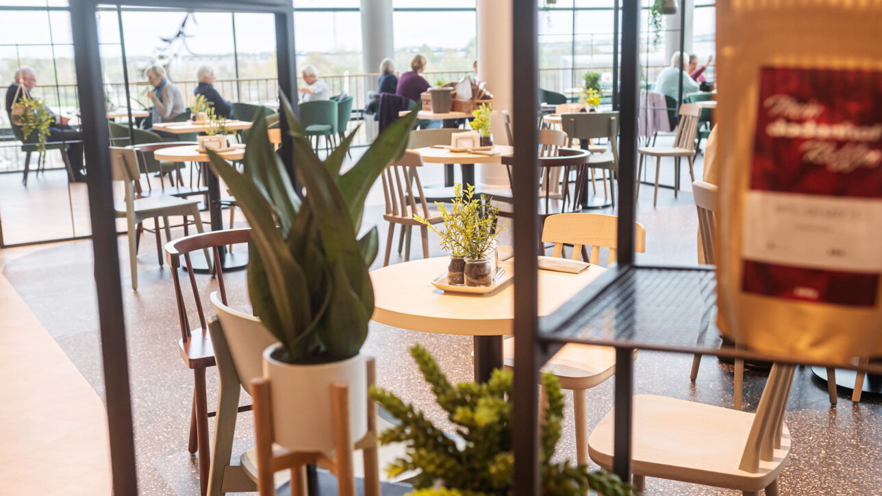 Wiedereröffnung: dodenhof Restaurant nordlicht startet mit After-Work-Kitchenparty