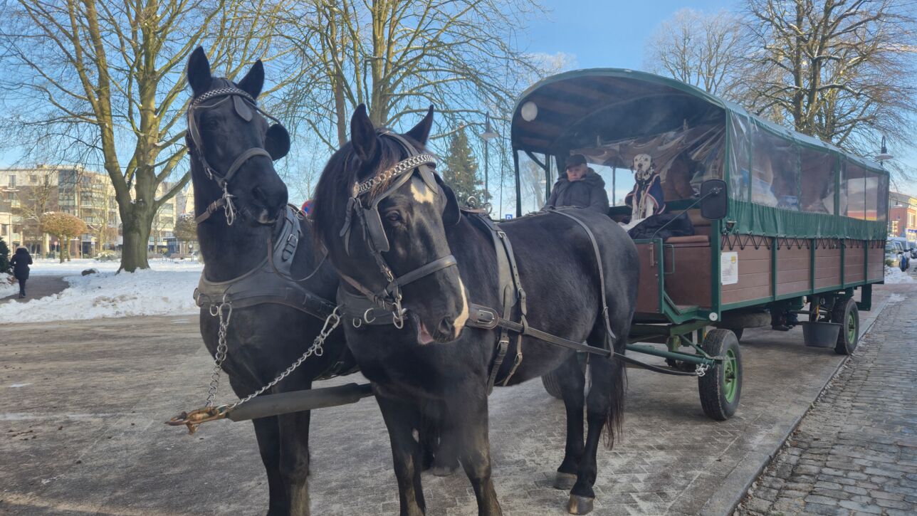 Das war der Neujahrsempfang AufTakt 2026 der Stadt Kaltenkirchen!