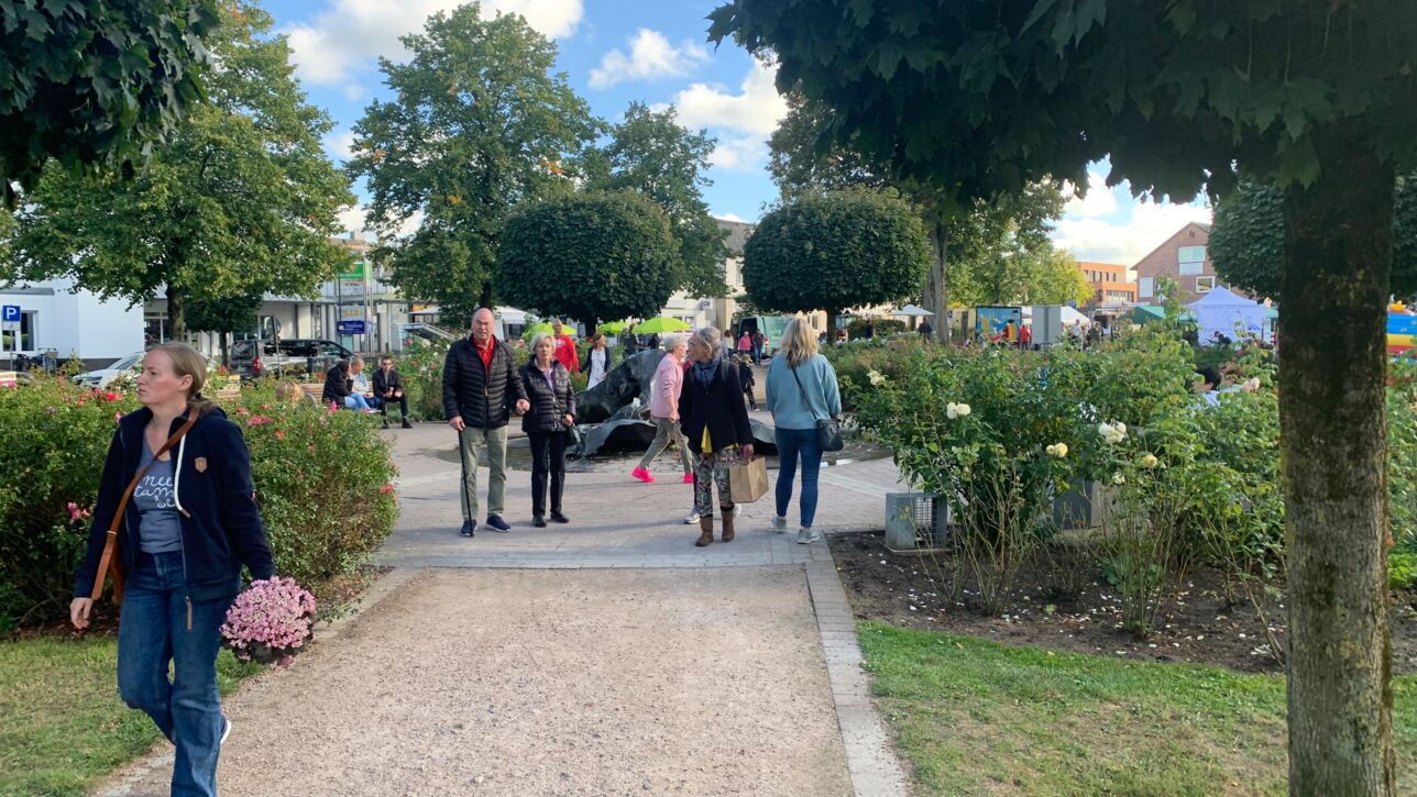Wahllokale in Kaltenkirchen geschlossen - geringe Wahlbeteiligung!
