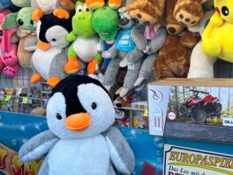 Jahrmarkt in Bad Bramstedt