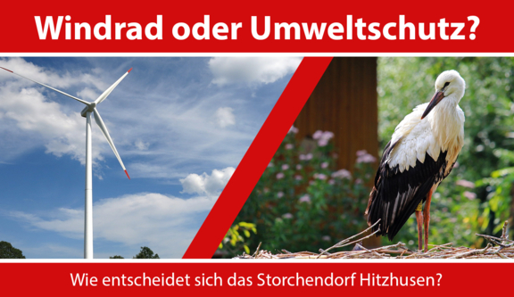 Windrad oder Umweltschutz? Wie entscheidet sich das Storchendorf Hitzhusen?