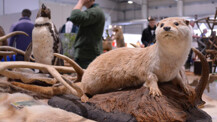 Das war die OUTDOOR 2017 jagd & natur (Fotogalerie)