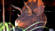 Die Dinosaurier kommen nach Neumünster